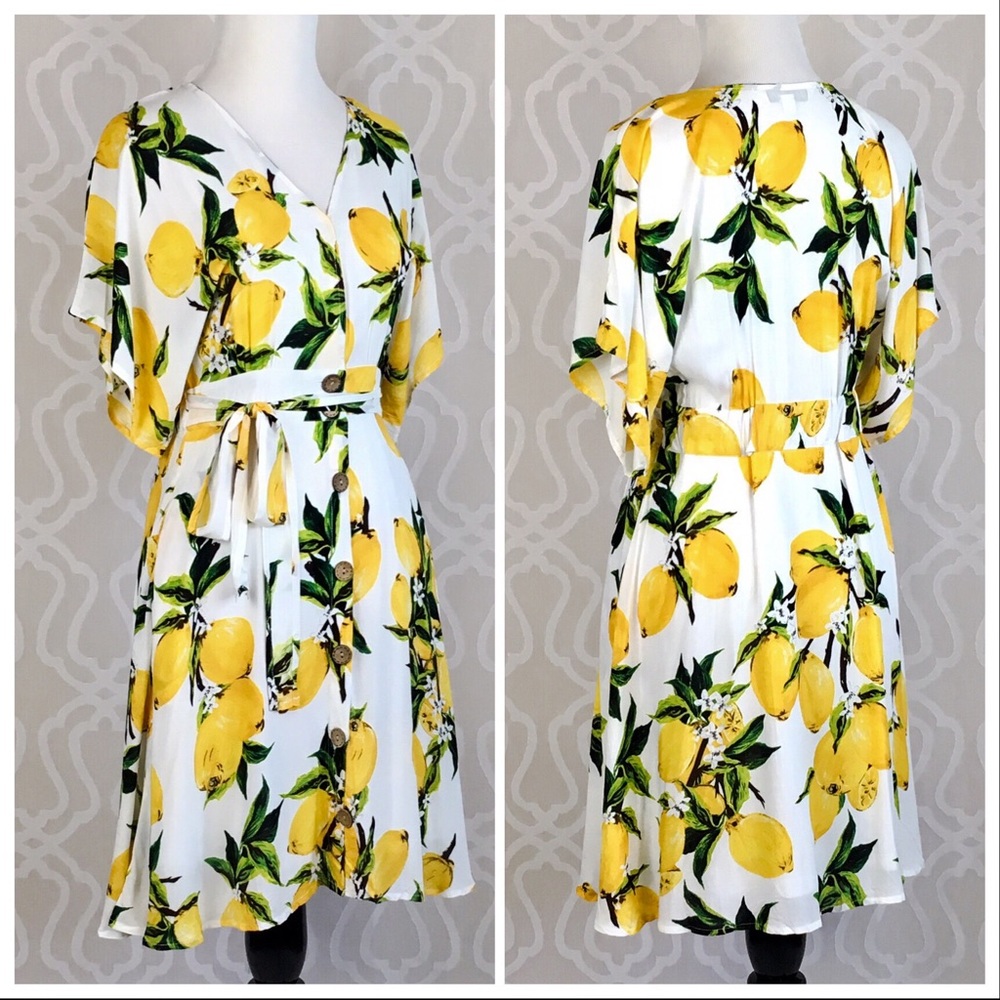 Delilah Loves Lemons Botanical Dress - Picture 7 of 8